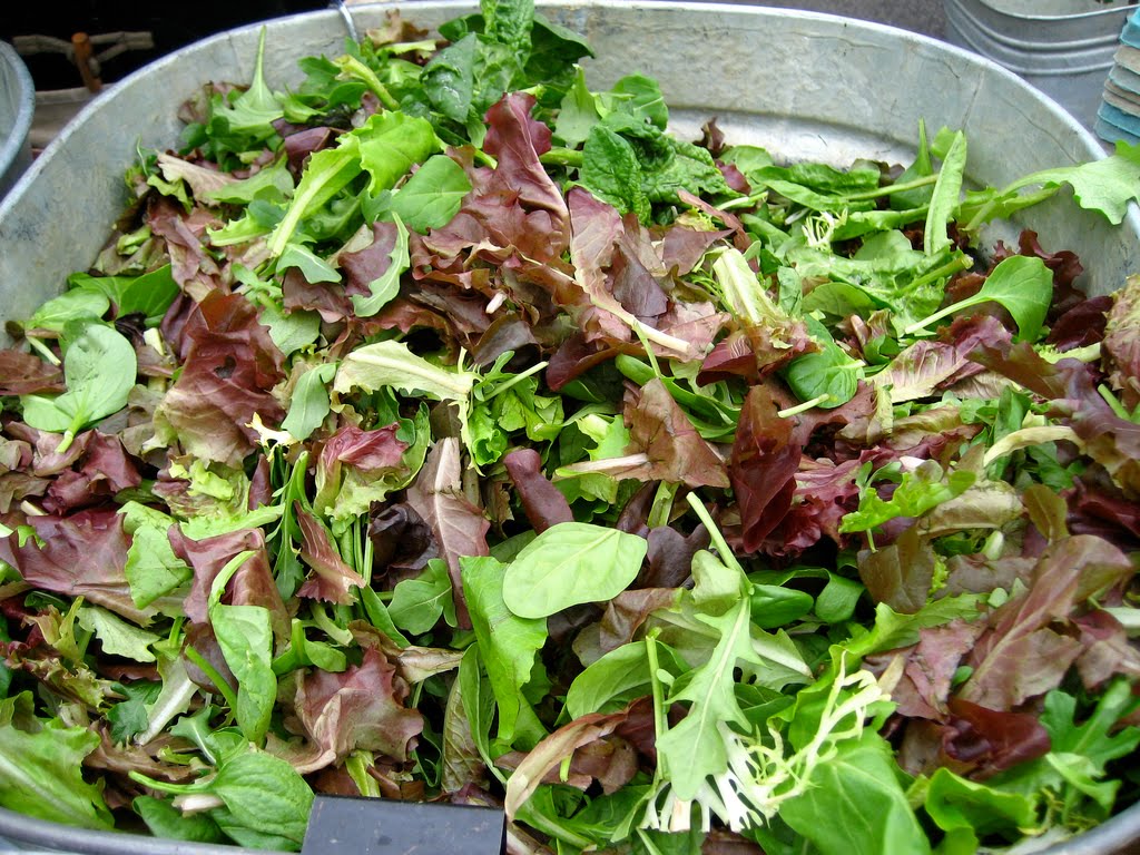 Food Feature of the Week: Mesclun Greens | foodliteracyproject